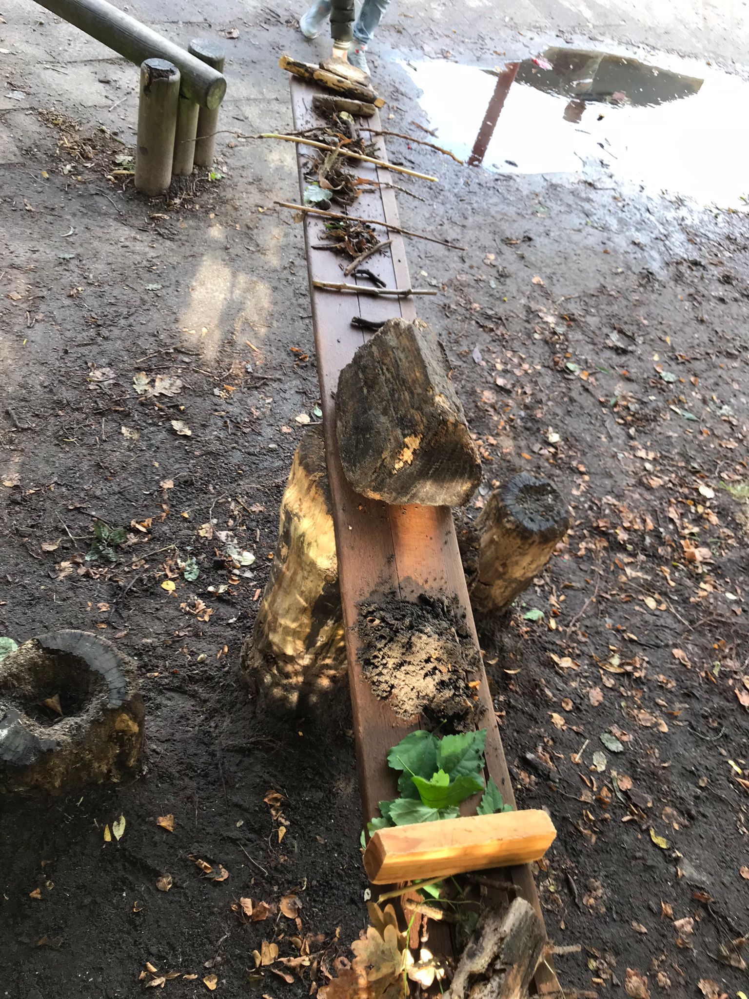 Groep 4 ontdekt de herfst