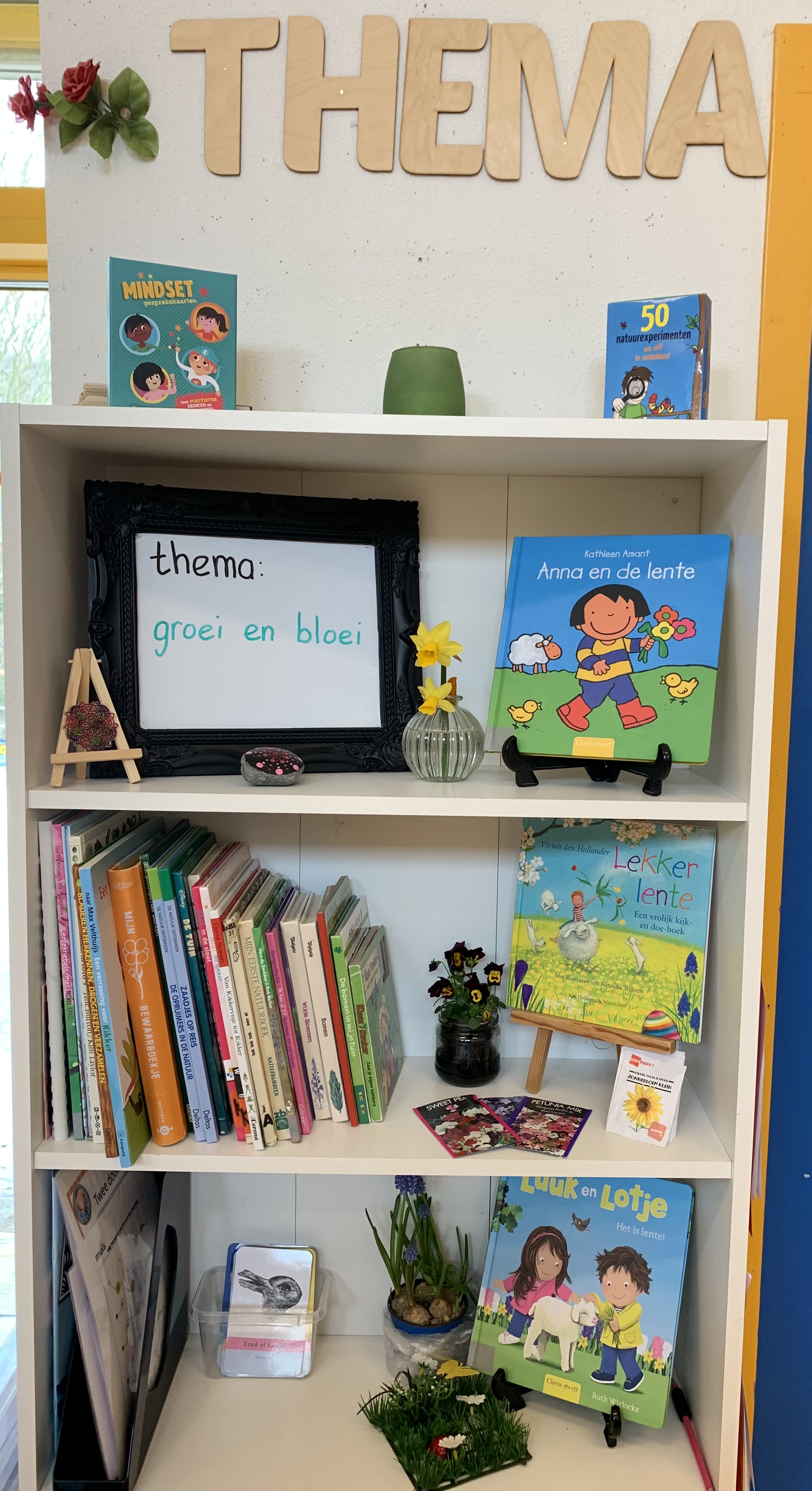 Thema: groei en bloei